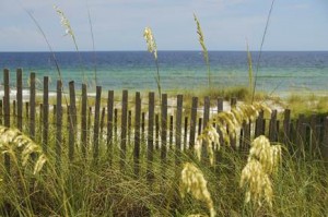 Total Maximum Daily Load