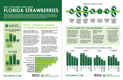 strawberries infographic